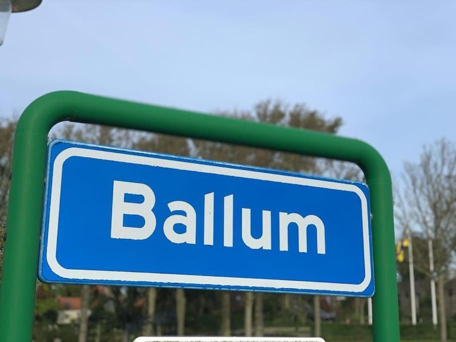 Ballumerhoeve Petit Lodge エクステリア 写真